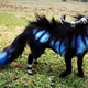Illustration for article titled These sculptures of impossible creatures look ready to spring to life